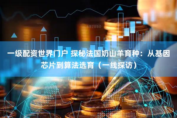 一级配资世界门户 探秘法国奶山羊育种：从基因芯片到算法选育（一线探访）