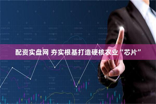 配资实盘网 夯实根基打造硬核农业“芯片”